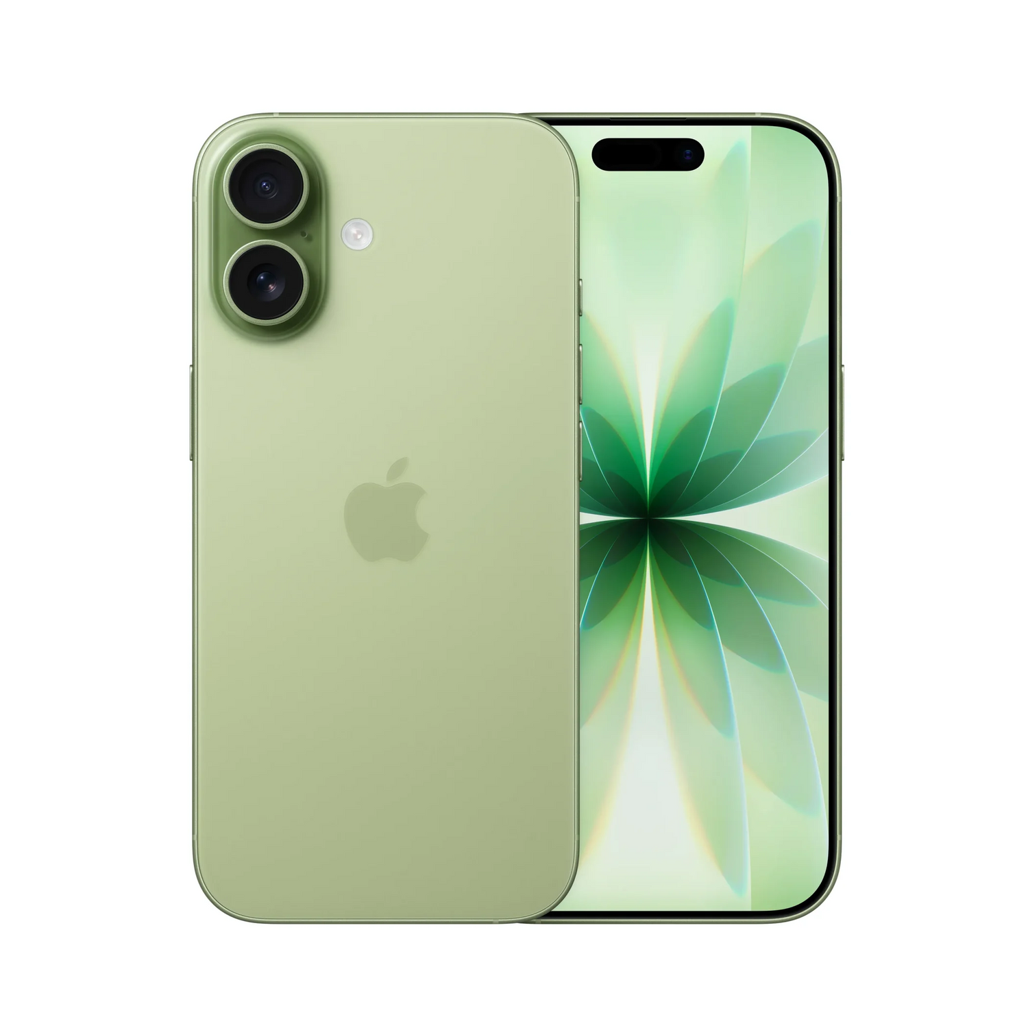 iPhone 17 Cases
