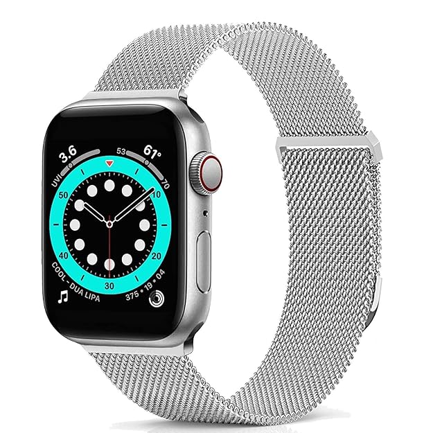 Stainless Steel Magnetic Absorption Strap Metal Mesh Quick Release Wristband for (38-40-41 MM) - Silver